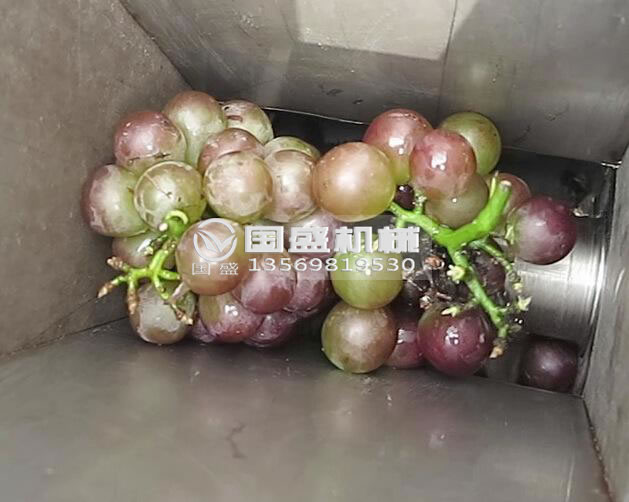 葡萄釀酒設(shè)備 葡萄釀酒設(shè)備