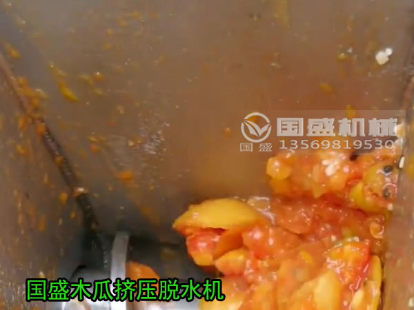 果汁壓榨機 果汁壓榨機